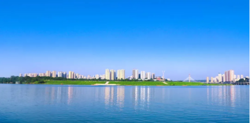 全力助推重慶潼南高新區(qū)委托招商引資，大力打造“6+1”產(chǎn)業(yè)集群！