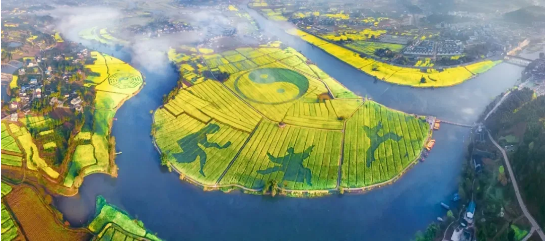 全力助推重慶潼南高新區(qū)委托招商引資，大力打造“6+1”產(chǎn)業(yè)集群！