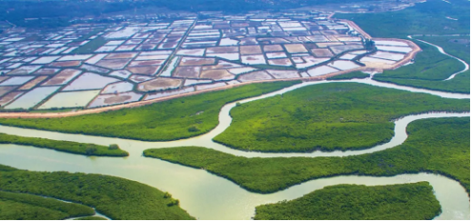集團全力助推廣東湛江廉江市委托招商引資，圍繞優(yōu)勢產(chǎn)業(yè)補鏈、強鏈、延鏈